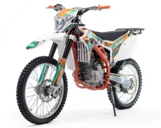 BSE Z6. 250����. ��., ��������, ��� ���, ��� �������. ��� ����� �� ������������ ����