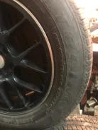 Triangle TR257. ������, 2019 ���, �/�, ����� 5�%