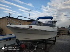 Yamaha SRV-20. 1996 ���, ����� 6��., ��������� ���������, 50��.�., ������. ��� ����� �� ������������ ����