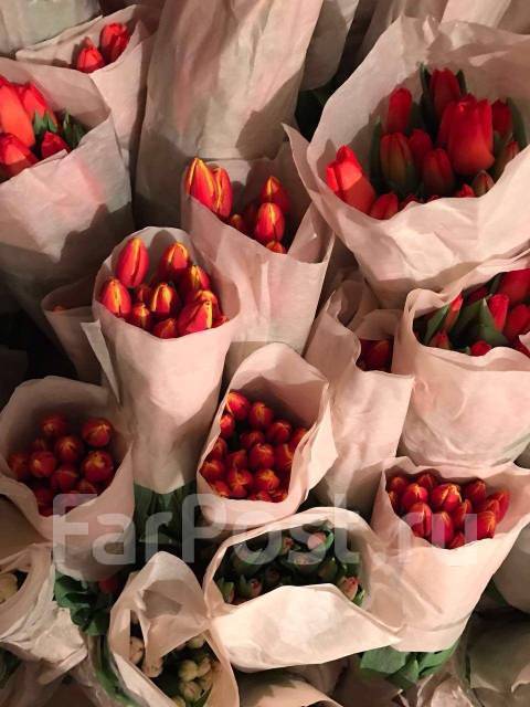 Тюльпаны оптом владивосток. Как хранить тюльпаны для продажи. Торговля тюльпаны в ведрах срез фото. Тюльпаны оптом в Благовещенске Амурской.