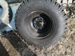��� �-245. �����������, ����� ����