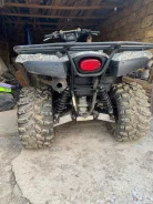 Kawasaki Brute Force 750. ��������, ��� ���\���, � �������� ����