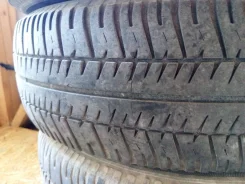 Debica Passio. ������, �/�, ����� 80�% ����