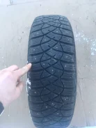 Avatyre Freeze. ������, ����������, 2014 ���, �/�, ����� 30�% ����