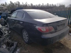 Toyota Windom ����