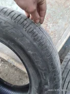 Lassa. ������, 2017 ���, �/�, ����� 20�% ����