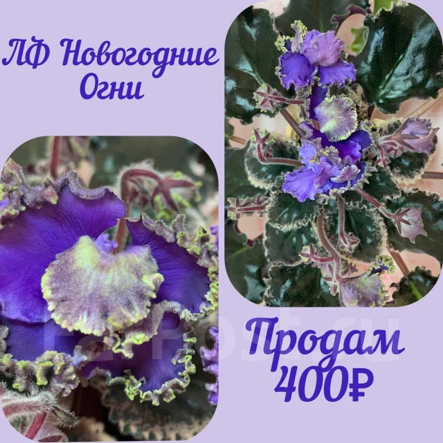 Лф Новогодние Огни
