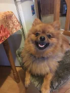 ����. ����