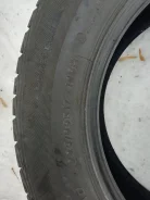 Lassa Competus Winter. ������, �/�, ����� 40 % ����