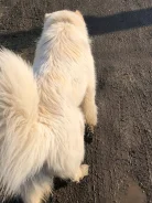 ������. ����