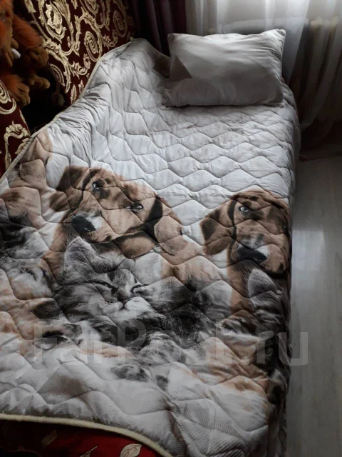 �����. ����