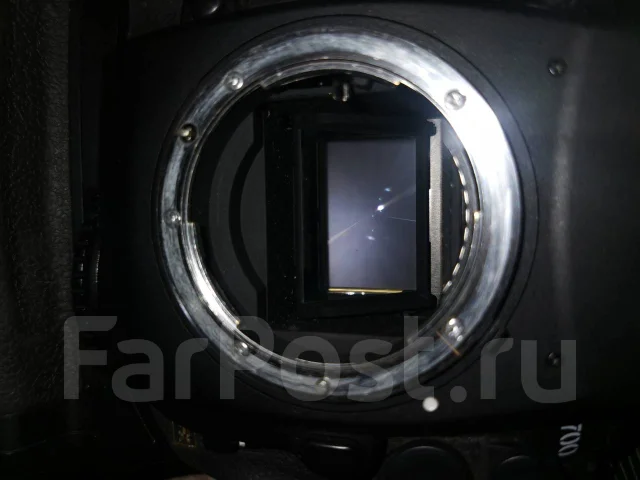 Nikon D700 ����