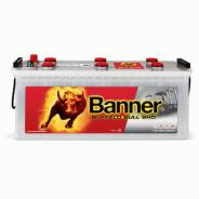 Buffalo Bull. 180��.�., ��������, ������������ ������ ����