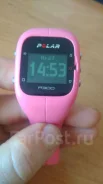 Polar ����
