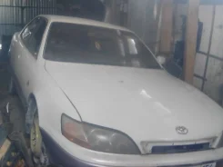 Toyota Windom ����