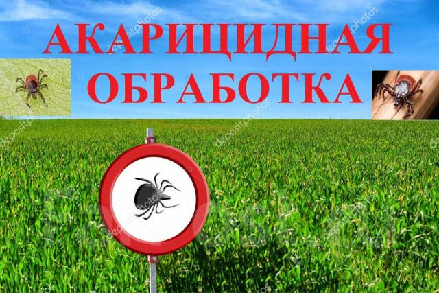 Акарицидная обработка. Уничтожение клещей. Противоклещевая обработка ...