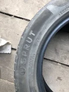 Sprut. ������, �/�, ����� 5�%