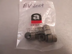 �������� ������������ Mz. ZL, FP, FS, B3, B5 ������=����� (�������� 8 ��. ) [EV2004V] EV2004V ����