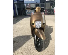 Eurotex Modena. 100����. ��., ��������, ��� ���, ��� ������� ����
