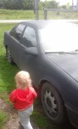 Ford Taurus ����
