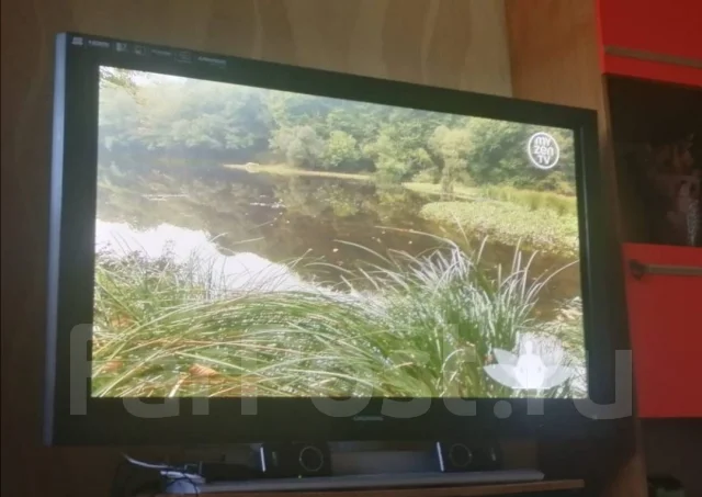 Grundig. ������ ����