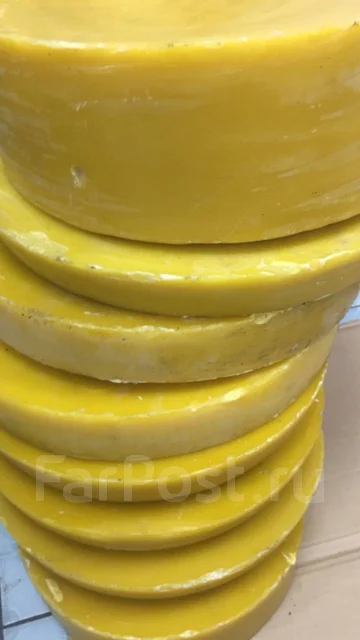 ����. ����