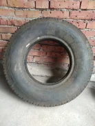 Sava Tamar Plus. �����������, ����� ����