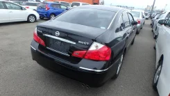 Infiniti M35. PNY50, VQ35HR ����