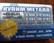 ����� ������ ����