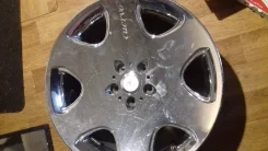 Fledermaus. x8" ����