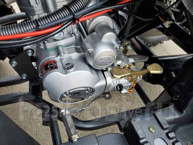 Grizzly Mikilon 300, 2023, 287 куб. см. 4х тактный, без пробега ...