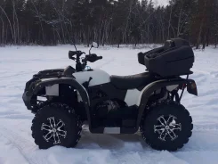 Stels ATV 600YL Leopard. ��������, ���� ���\���, � �������� ����