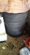 Dunlop Sport Maxx Race. ������, �/�, ����� 60 % ����