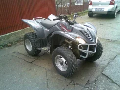 Yamaha Wolverine 450. ��������, ���� ���\���, � �������� ����
