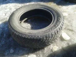 Cordiant Polar. ������, ��� �����, �/�, ����� 40 % ����