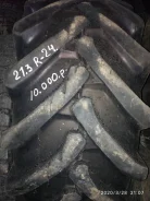 TyRex. �����������, 2020 ���, �/�, ����� �� 5 % ����