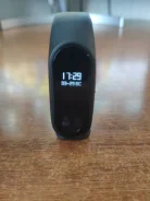 Ritmix RFB-001. IP67 ����