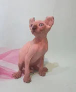 ����. ����