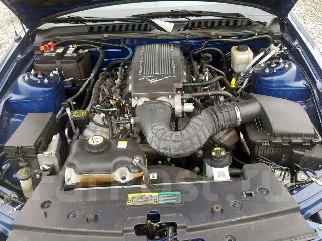 Ford Mustang. ��������, ������, 4.6, ������, 110 000����. ��, �/�. ��� ����� �� ���������� ����
