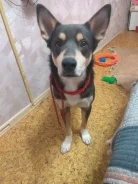 �������. ����