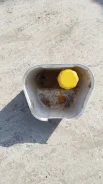 ��������. ����