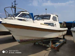 Yamaha F-22. 1994 ���, ����� 7��., ��������� ���������, 60��.�., ������ ����