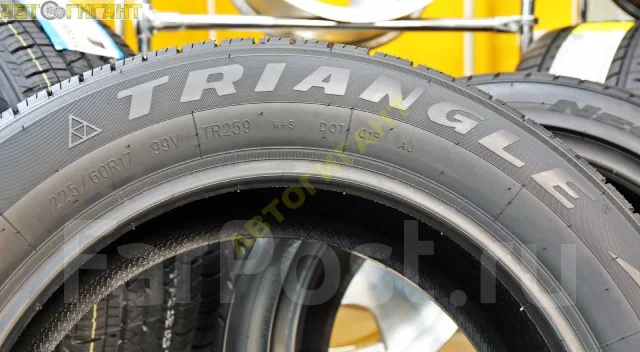 Triangle AdvanteX SUV TR259. ������, ����� ����
