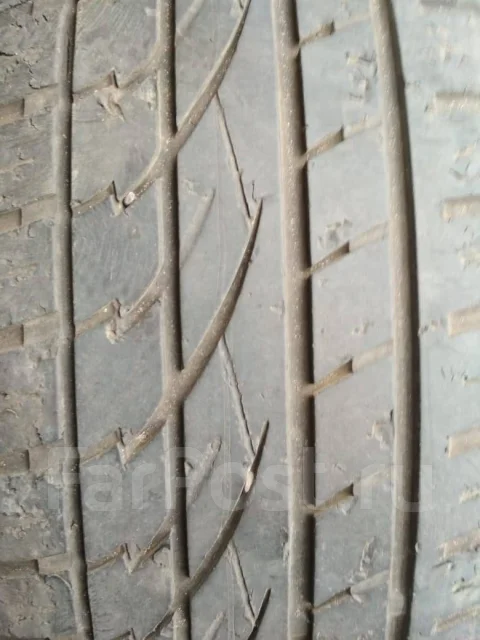 Continental Contact. ������, 2013 ���, �/�, ����� 60 % ����