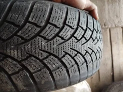 Sumo Firenza NU ICE NTS-01. ������, ��� �����, �/�, ����� 40�% ����
