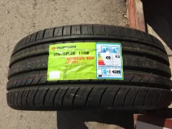 Goform EcoPlus. ������, 2020 ���, ����� ����