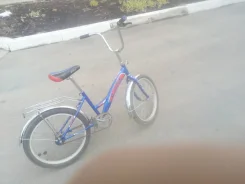 XDS ����