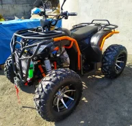 Yamaha Grizzly 300. ��������, ��, ��� ������� ����