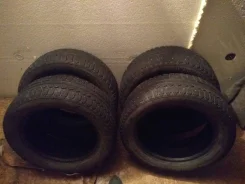 Continental ContiWinterViking 2. ������, ����������, �/�, ����� �� 5�%
