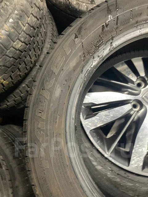 Falken Sincera. ������, 2018 ���, �/�, ����� �� 5 % ����